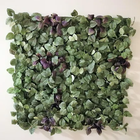 Hiisi Homes Center *