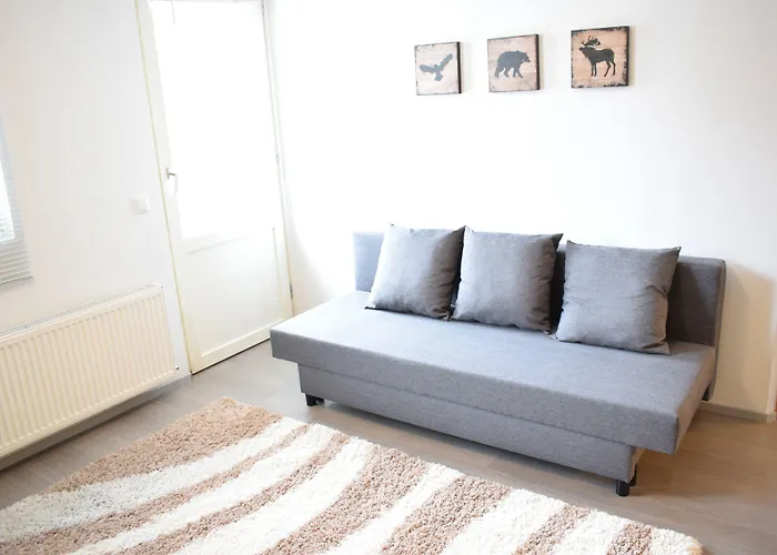 Hiisi Homes Center Apartamento *